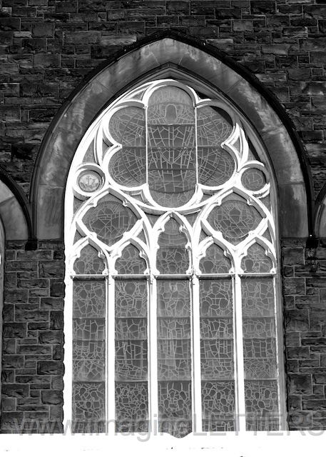 Wall_Art_Alphabet_Photography_Art_ 1480.jpg